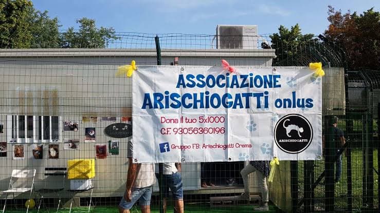 Volontari Arischiogatti durante una giornata al rifugio