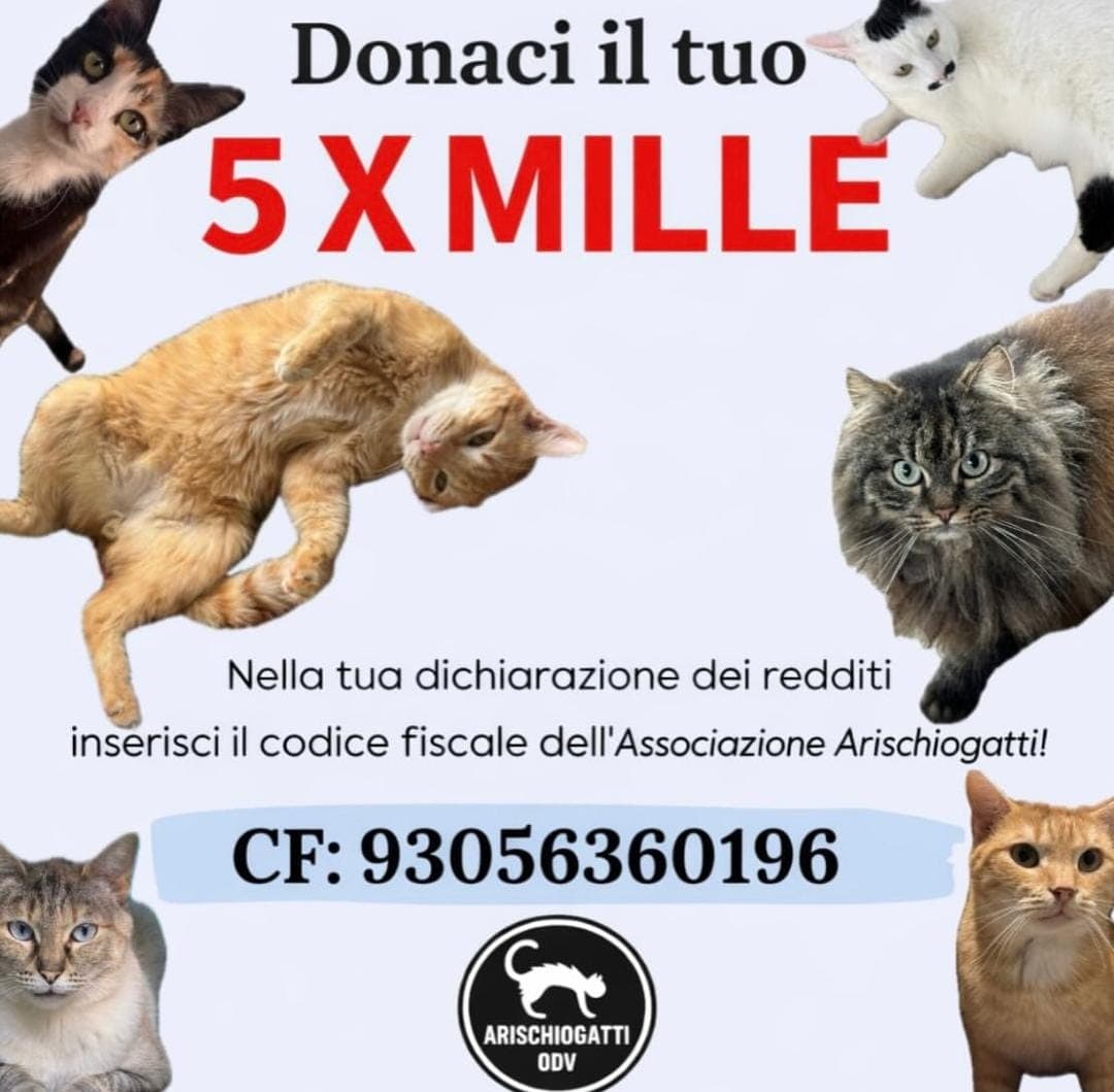 Donaci il tuo 5X1000