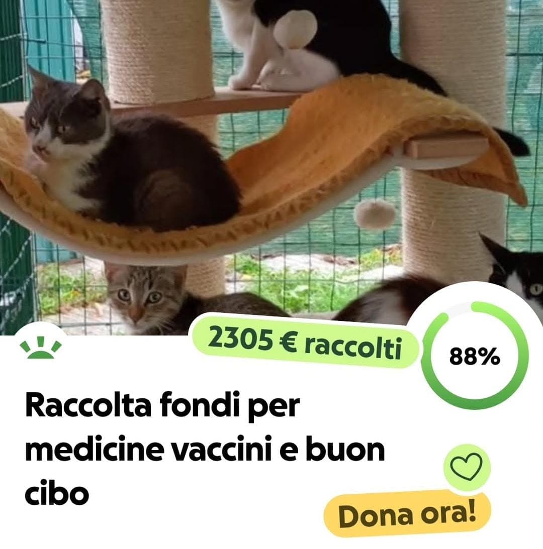 Raccolta fondi per medicine, vaccini e buon cibo