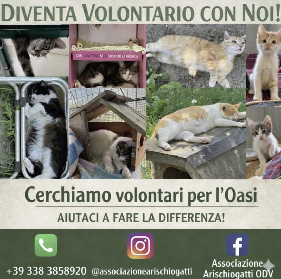 Diventa volontario con noi!