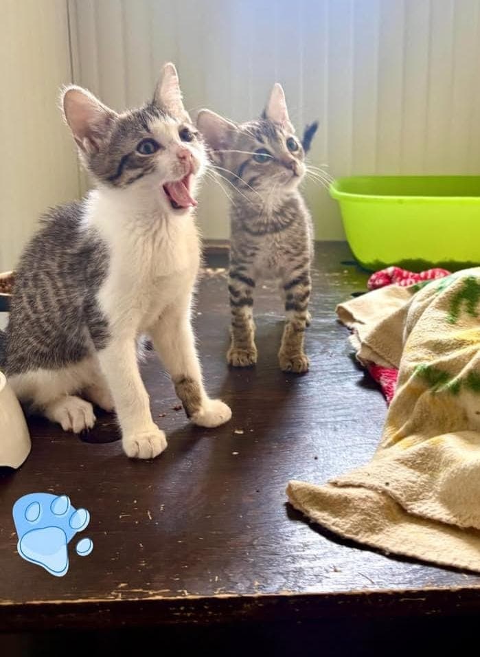 Foto di Perlo e Paolo